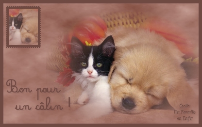un calin?